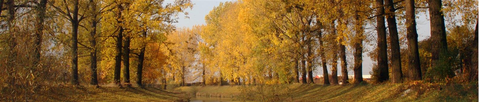 Město Otrokovice - foto