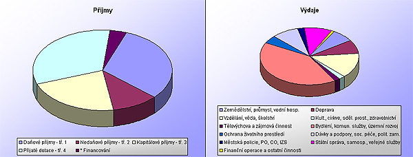 Skutečný rozpočet pro rok 1999