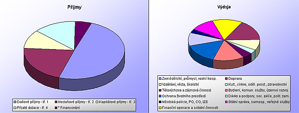 Skutečný rozpočet pro rok 2000