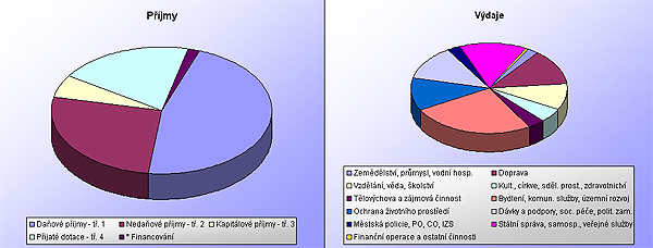 Skutečný rozpočet pro rok 2001