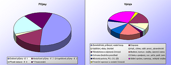 Skutečný rozpočet pro rok 2002