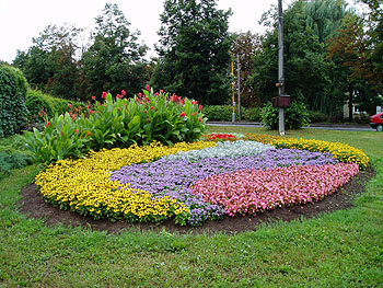 Květy