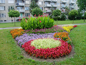 Květy