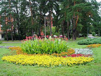 Květy
