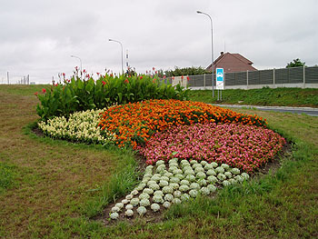 Květy