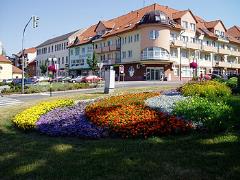 Květy