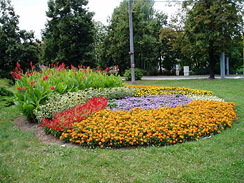 Květy