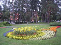 Květy