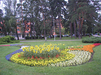 Květy