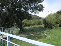 Moravní lávka