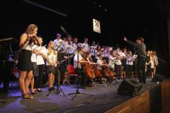 Festival gymnázií
