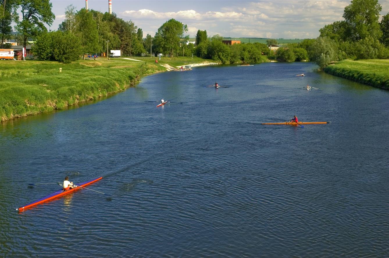 Veslaři