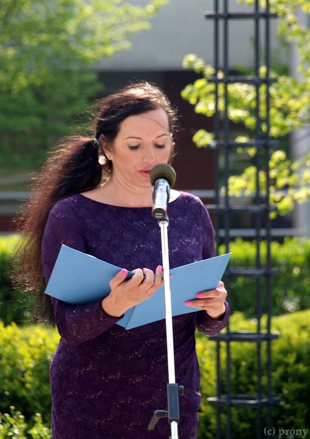 26 - Výročí osvobození 2016