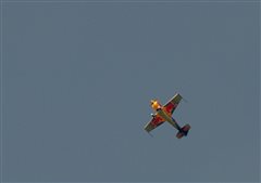 03 Elektra