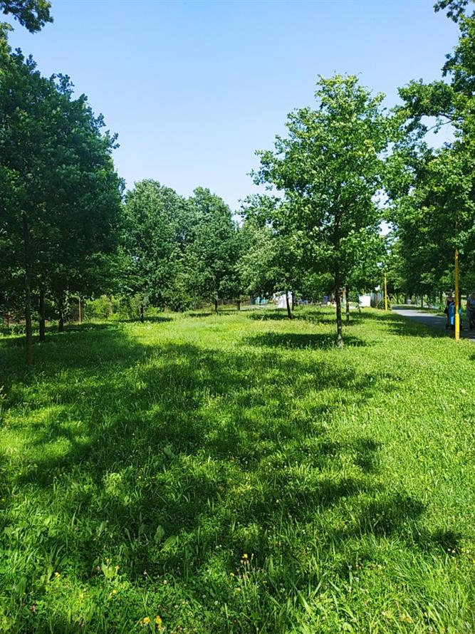 Bosá stezka - 4