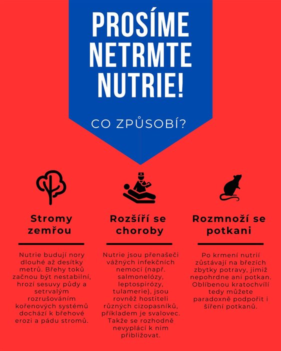 nutrie
