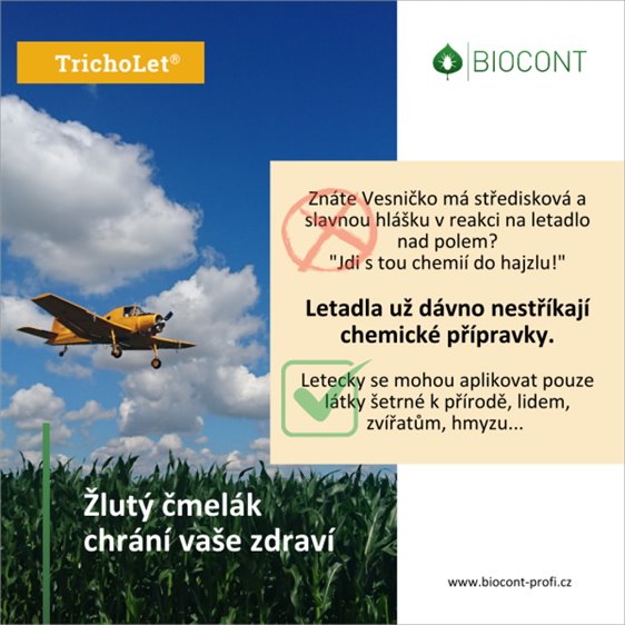 čmelák