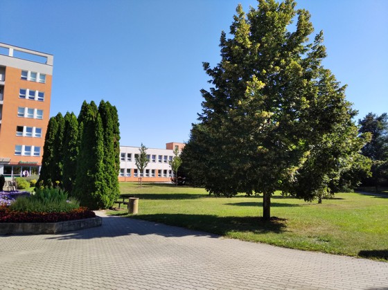 Osvětlení 1