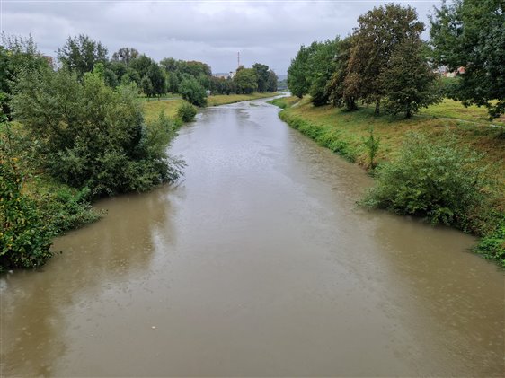 dřevnice