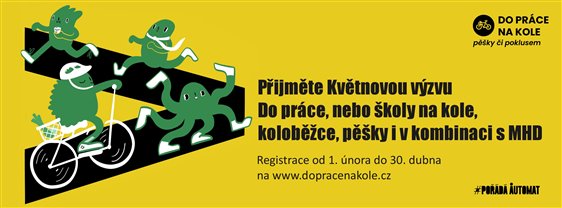 dpnk oe