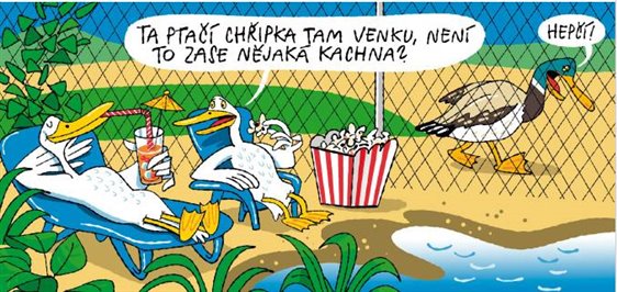 praci chripka